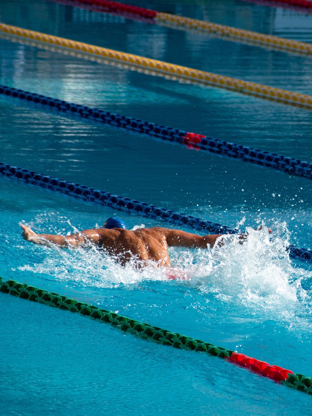 lancer le diaporama à partir de la photo de titre Sport Butterfly
